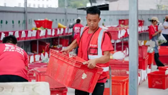 多多买菜进凉山：从餐桌之变到生活之兴-会东网