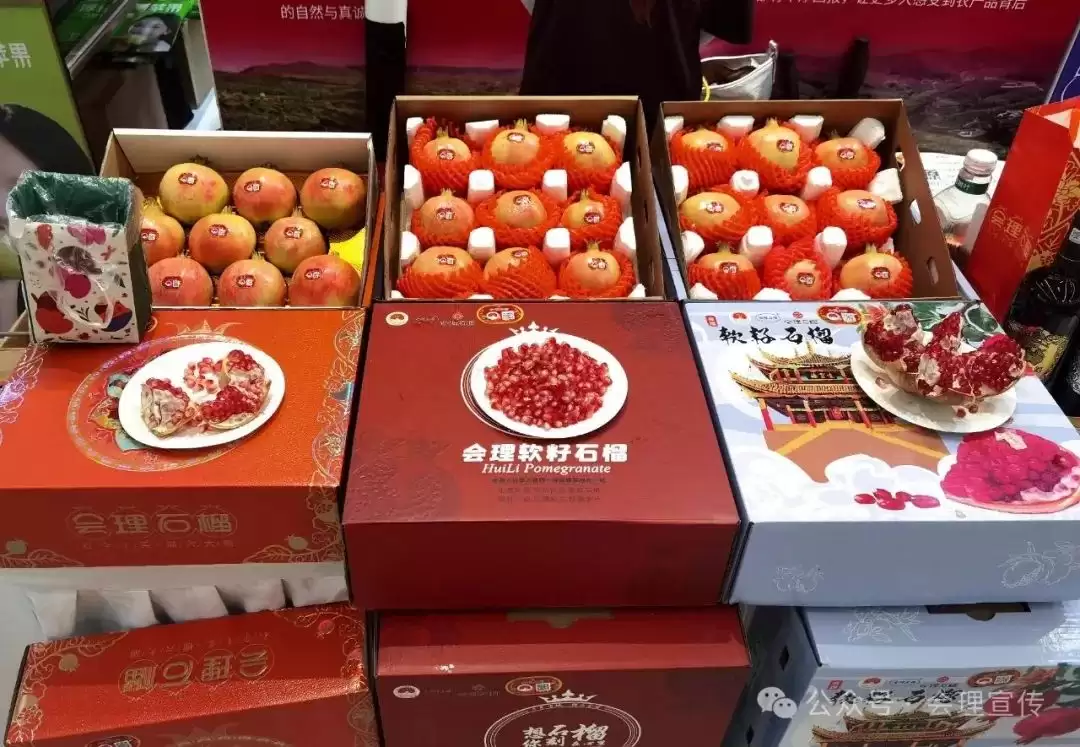 会理石榴闪耀中国果业品牌大会，开启发展新征程插图5