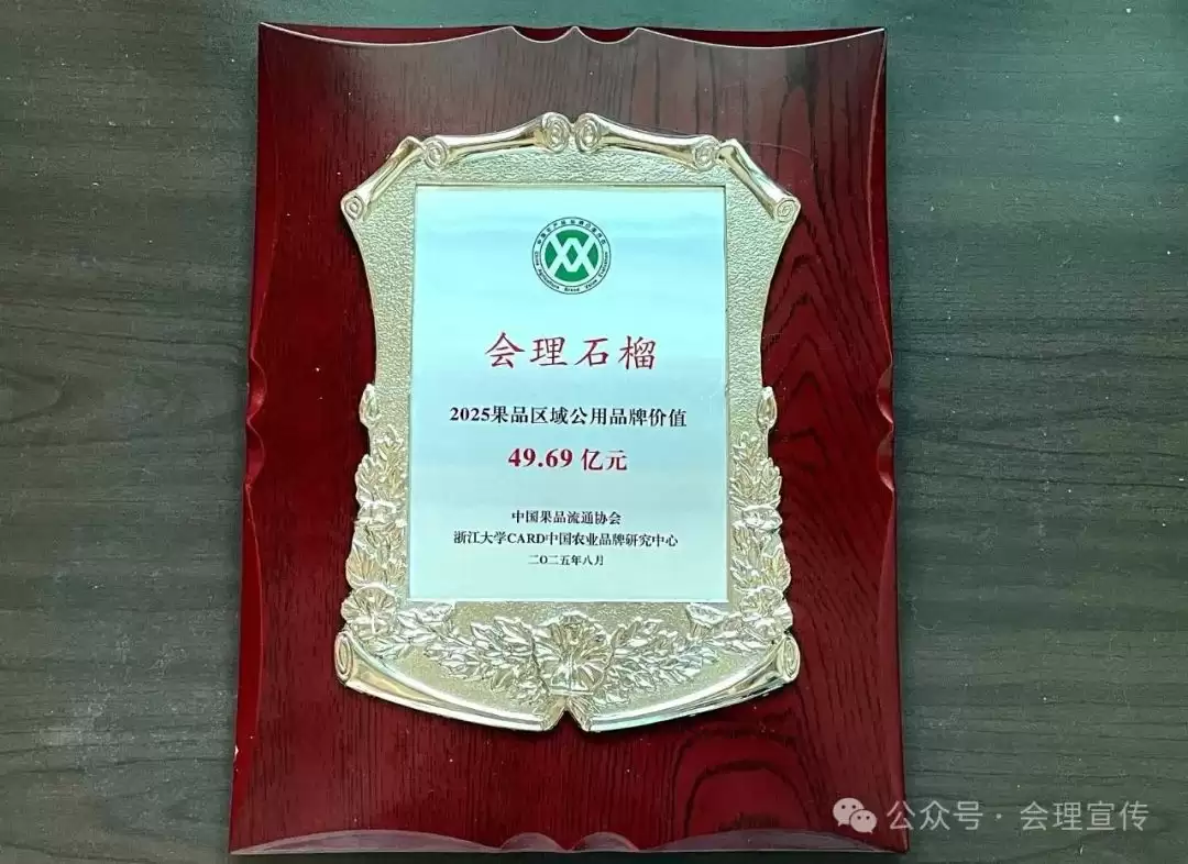 会理石榴闪耀中国果业品牌大会，开启发展新征程插图2