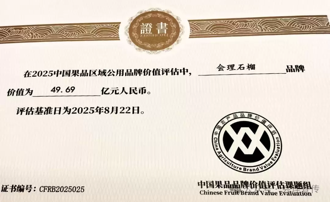 会理石榴闪耀中国果业品牌大会，开启发展新征程插图3