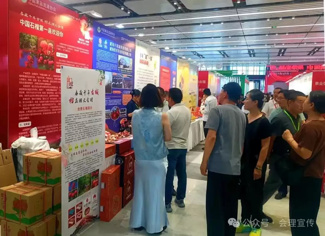 会理石榴闪耀中国果业品牌大会，开启发展新征程插图4