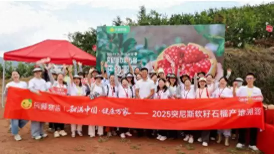 辰颐物语溯源四川凉山会理，助力 “中国石榴之乡” 石榴畅销，推动乡村振兴-会东网