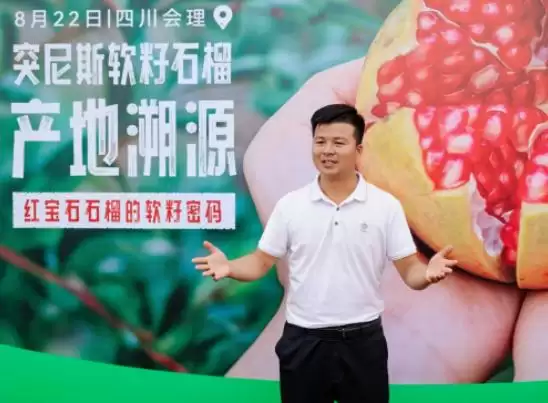 辰颐物语溯源四川凉山会理，助力 “中国石榴之乡” 石榴畅销，推动乡村振兴插图2