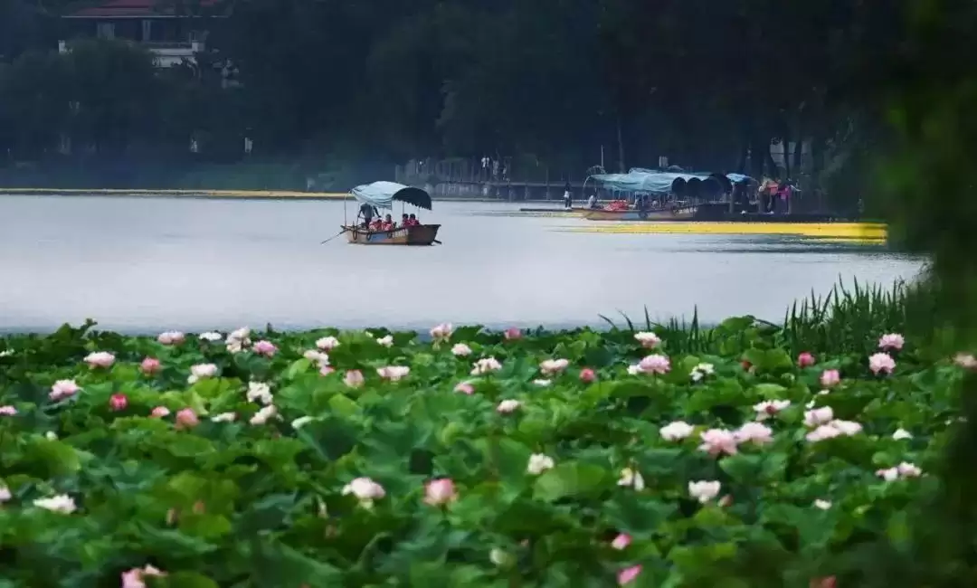 七夕相约凉山：在湖光山色与民俗风情中镌刻浪漫爱情记忆插图5