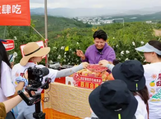 辰颐物语溯源四川凉山会理，助力 “中国石榴之乡” 石榴畅销，推动乡村振兴插图3
