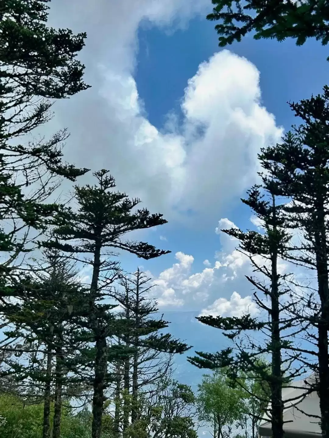 七夕相约凉山：在湖光山色与民俗风情中镌刻浪漫爱情记忆插图23