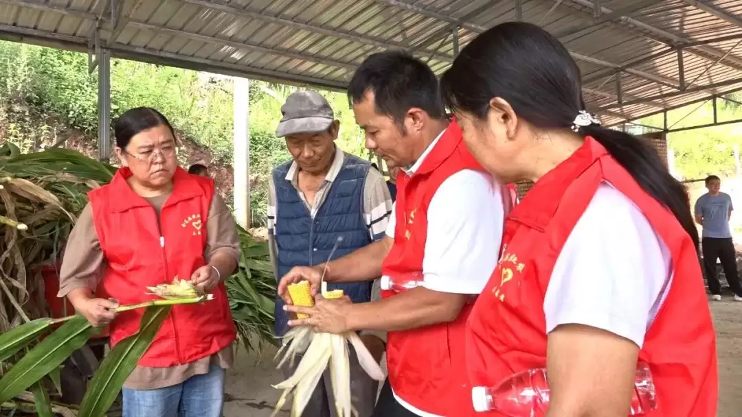 会东县：技术下沉赋能肉羊养殖，特色产业激活乡村振兴新动能-会东网