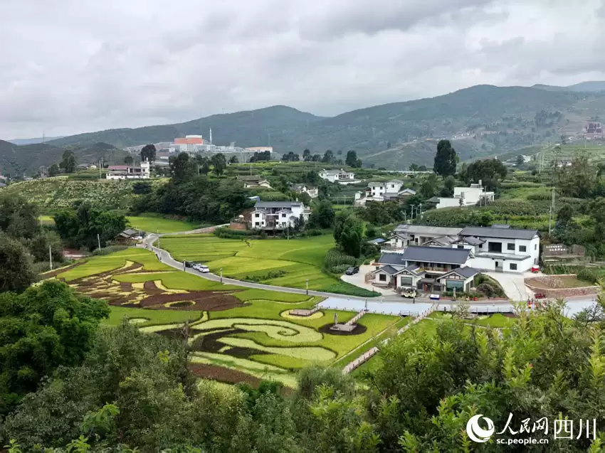 “陌上姜州”：石榴映红文旅路，农旅融合点亮幸福生活-会东网