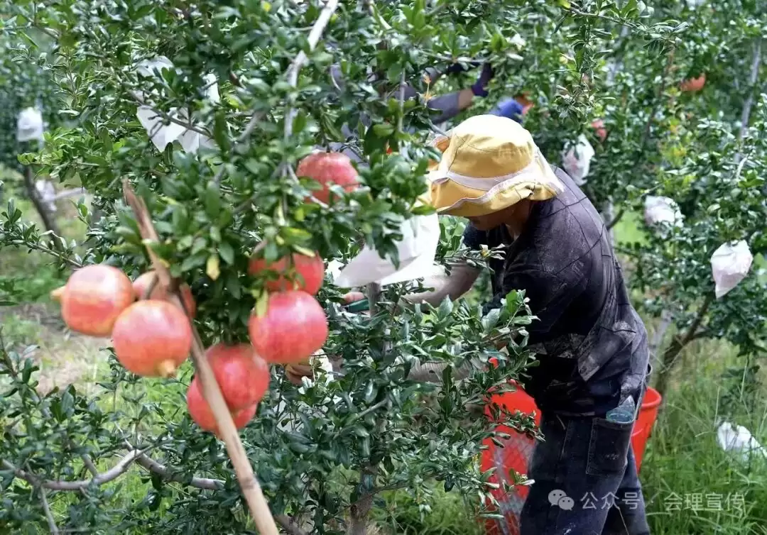 九月秋风起，凉山 “文化力” 爆棚！9 – 10 月金秋文旅活动游玩攻略插图6