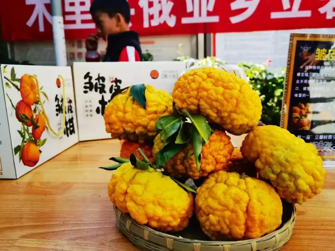 九月秋风起，凉山 “文化力” 爆棚！9 – 10 月金秋文旅活动游玩攻略插图2