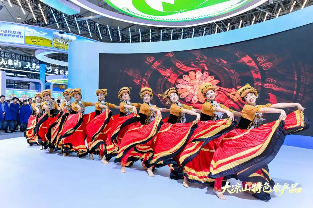 第十一届农博会凉山展馆惊艳亮相：科技生态融合，尽显特色农产品与民族文化魅力插图3