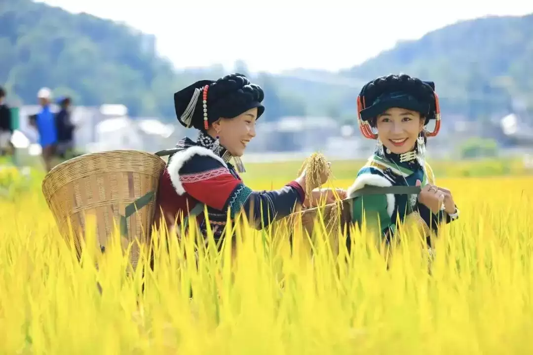 九月秋风起，凉山 “文化力” 爆棚！9 – 10 月金秋文旅活动游玩攻略插图8