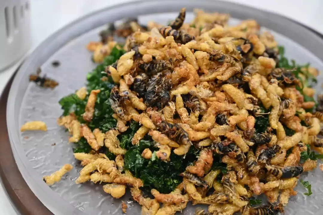 2025 四川省 “天府百姓大舞台” 攀西片区汇演暨 “和美乡村・稻会东” 田园丰收季来袭,川滇文化盛宴等你体验!插图21 2025 四川省 “天府百姓大舞台” 攀西片区汇演暨 “和美乡村・稻会东” 田园丰收季来袭,川滇文化盛宴等你体验!插图21