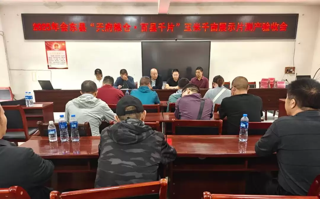 会东县江西街乡千亩玉米示范片测产丰收,科技兴农成效显著助力乡村振兴-会东网