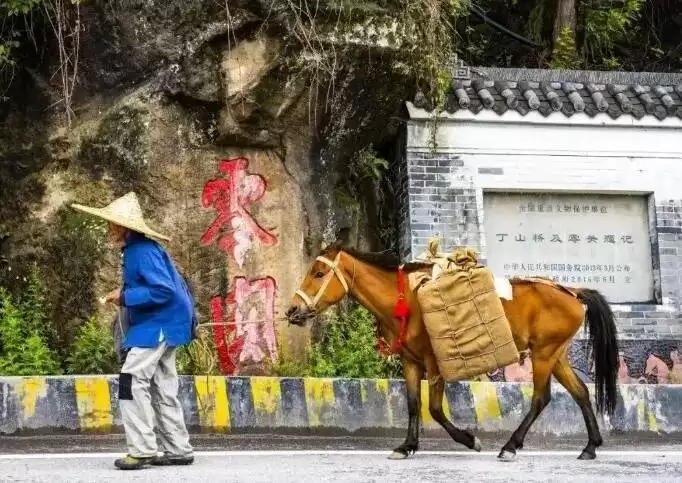 凉山之美：自然、文化与历史交织的五彩画卷插图9