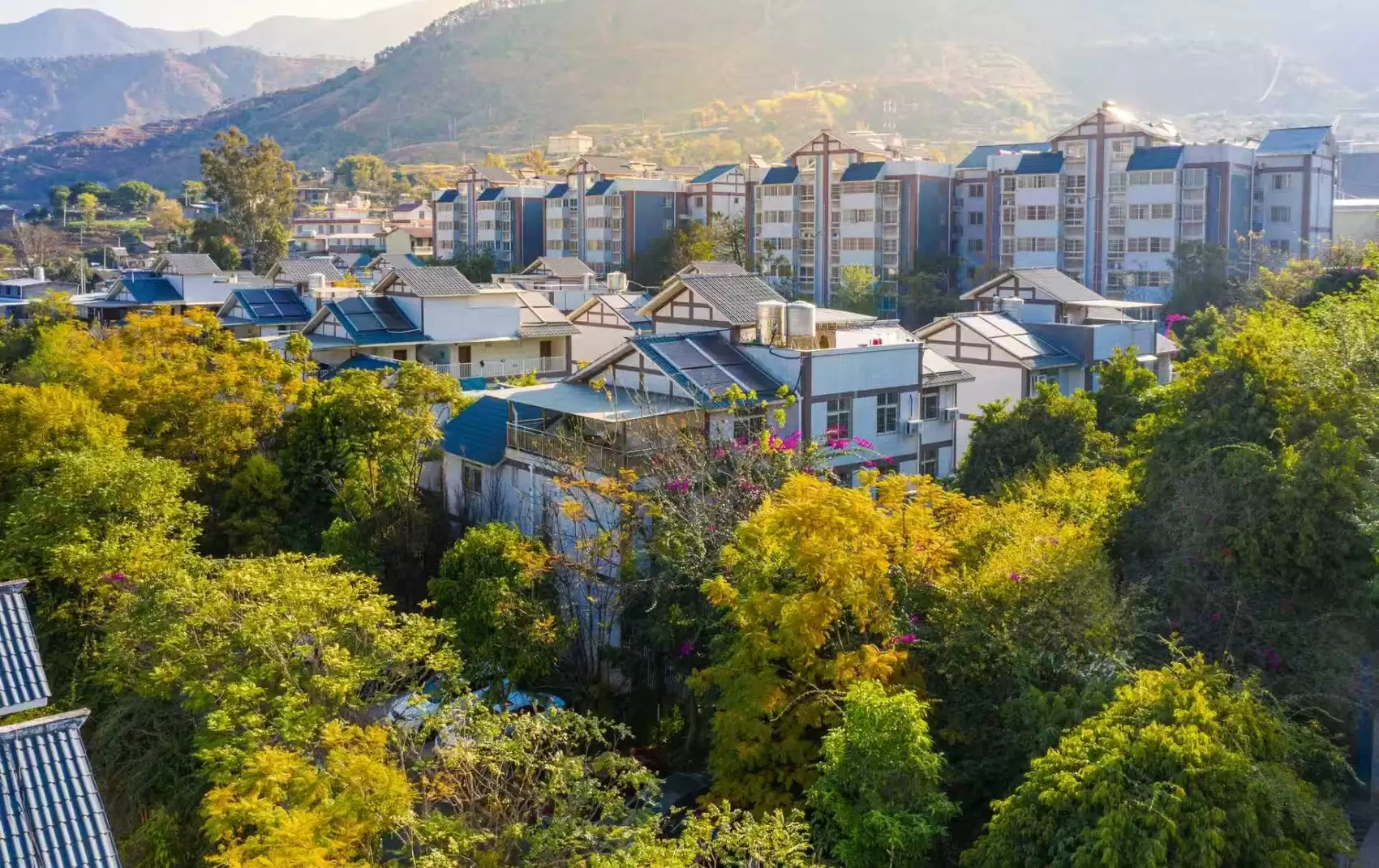 2025 四川省综合竞争力百强镇揭晓：攀枝花四镇上榜，解读镇域发展秘籍插图7