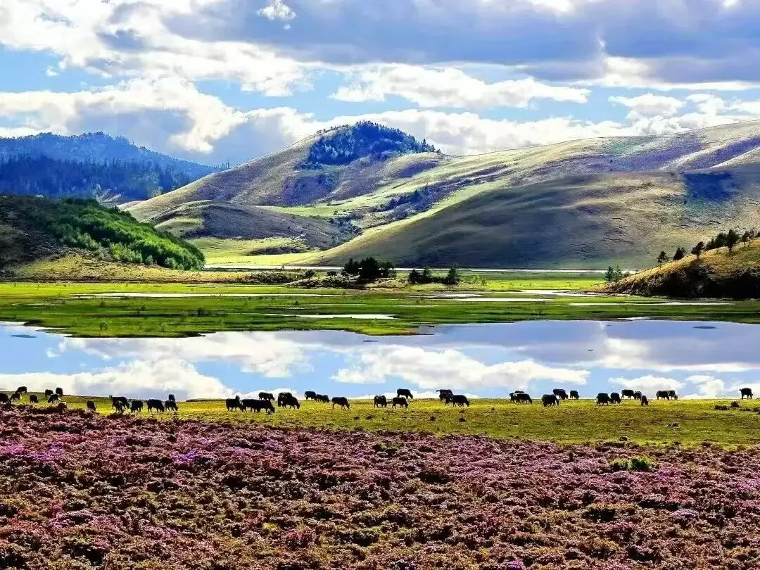 赛场外的惊喜：走进川超背后五彩斑斓的凉山，开启超值之旅插图26