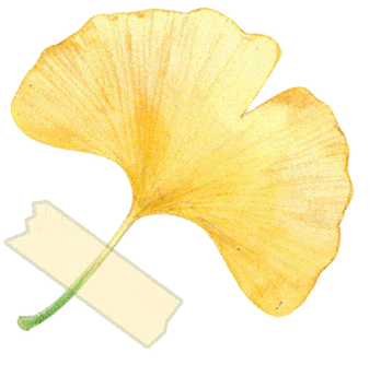 赛场外的惊喜：走进川超背后五彩斑斓的凉山，开启超值之旅插图34