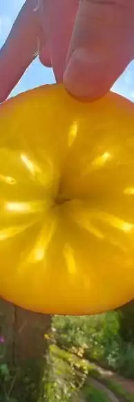 赛场外的惊喜：走进川超背后五彩斑斓的凉山，开启超值之旅插图36