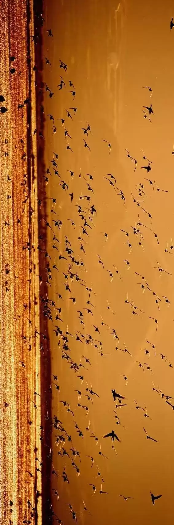 赛场外的惊喜：走进川超背后五彩斑斓的凉山，开启超值之旅插图15