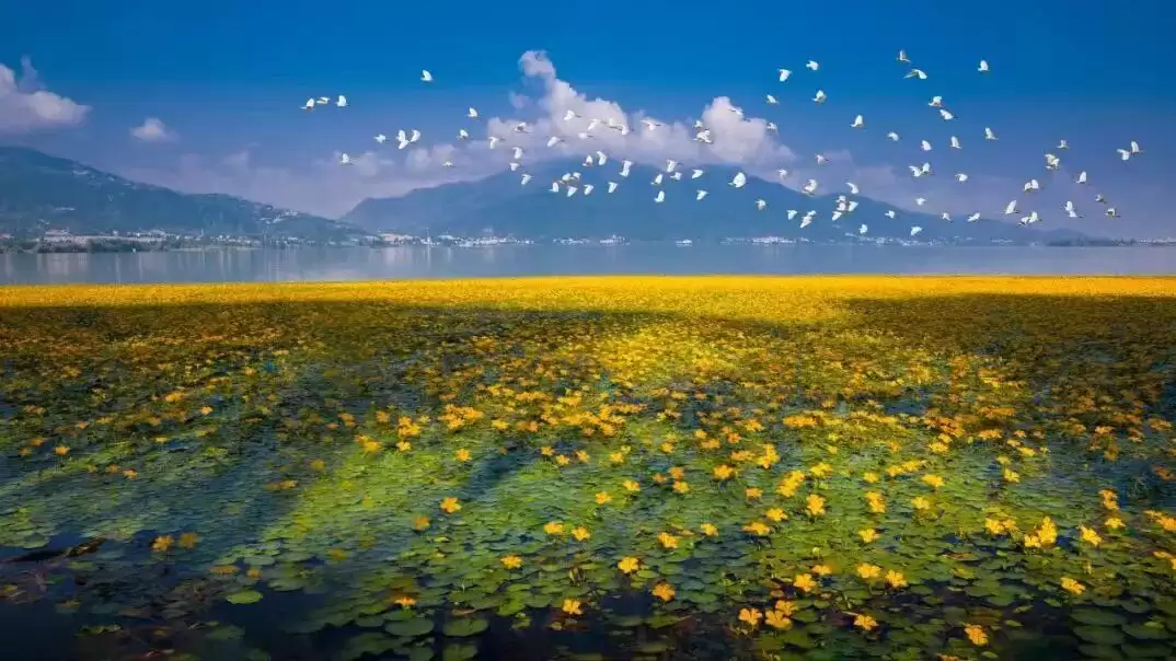 赛场外的惊喜：走进川超背后五彩斑斓的凉山，开启超值之旅插图12