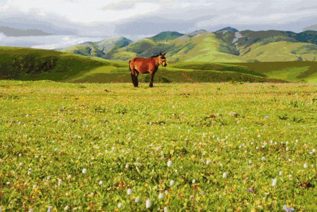 赛场外的惊喜:走进川超背后五彩斑斓的凉山,开启超值之旅-会东网