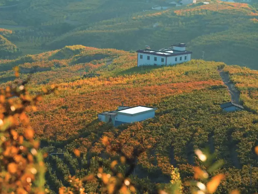 深度了解会理市：地理位置、旅游资源、历史沿革与行政区划全解析插图10