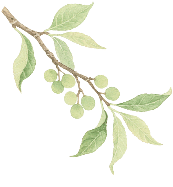 赛场外的惊喜：走进川超背后五彩斑斓的凉山，开启超值之旅插图11