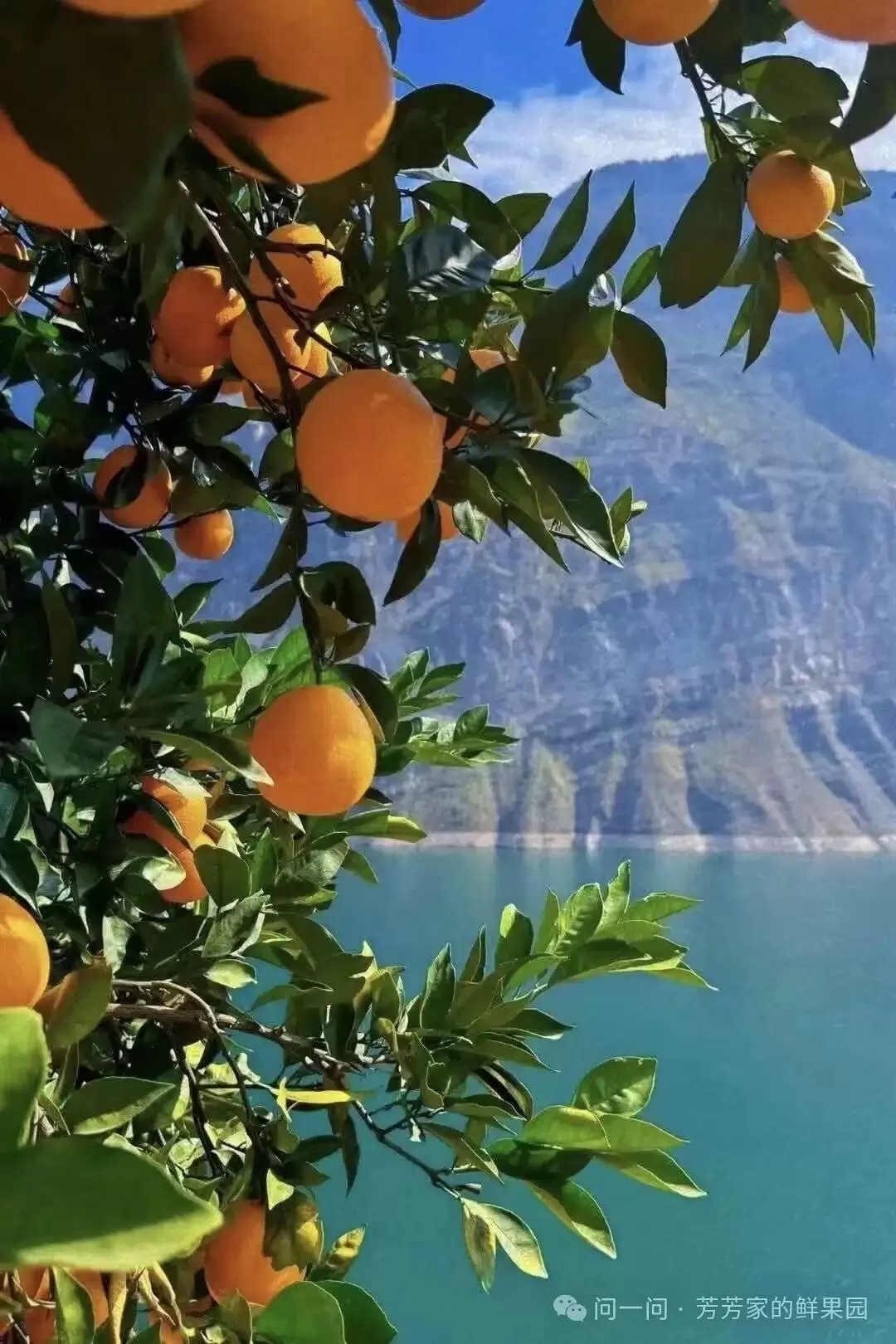 赛场外的惊喜：走进川超背后五彩斑斓的凉山，开启超值之旅插图35
