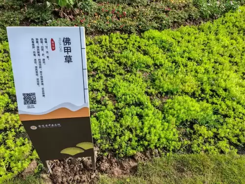 深秋会东中医院医技综合楼启用，一站式智慧医疗与特色康复等亮点纷呈插图3