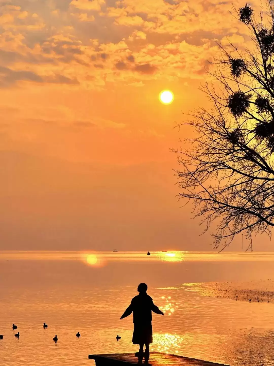 西昌邛海湿地马拉松 11.1 开跑！两天一晚畅玩攻略，尽享美景与美食插图5