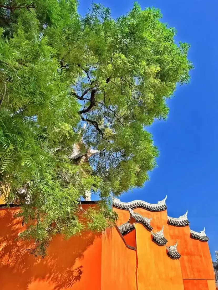 西昌邛海湿地马拉松 11.1 开跑！两天一晚畅玩攻略，尽享美景与美食插图36