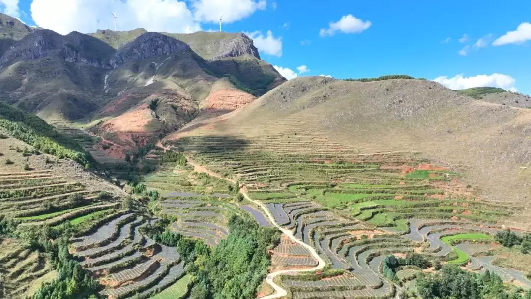 满银沟镇以中药材种植为突破口,构建 “一主多元” 格局,助力乡村振兴插图2 满银沟镇以中药材种植为突破口,构建 “一主多元” 格局,助力乡村振兴插图2