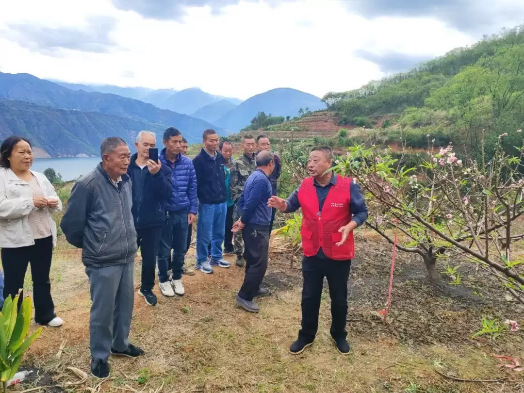 我县如何借技术培训做好水电移民增收致富 “后半篇文章”？效果咋样？插图1