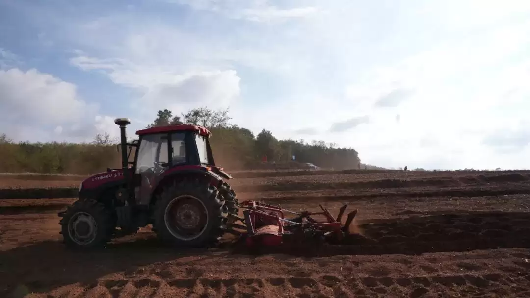 四川会东如何推动农机农艺融合，为传统烟叶产业带来哪些变革与新机遇？插图2