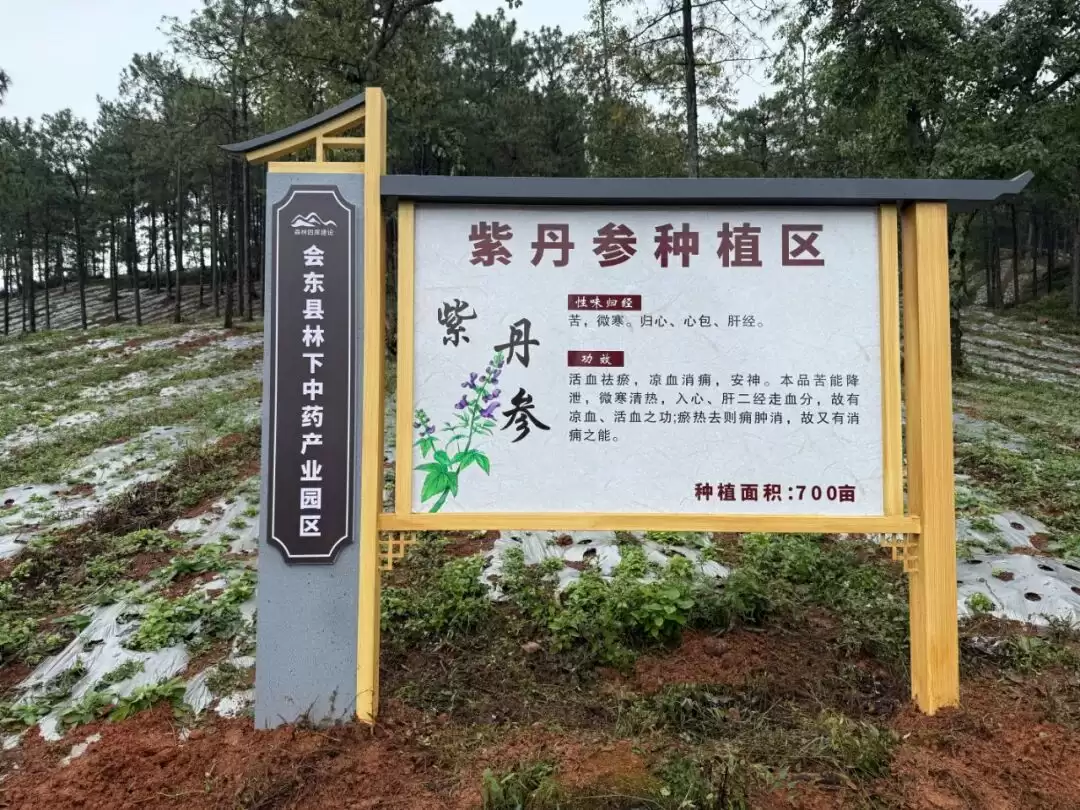 凉山会东：以松为基筑粮仓插图1