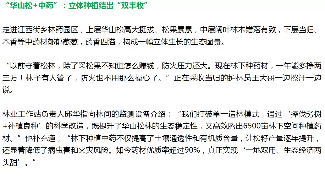 凉山会东：以松为基筑粮仓插图2