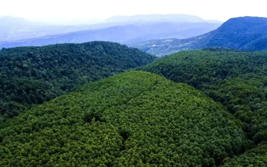 凉山会东：以松为基筑粮仓插图11