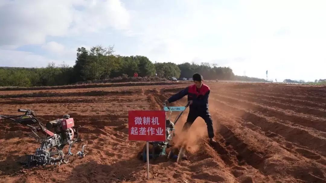 四川会东如何推动农机农艺融合，为传统烟叶产业带来哪些变革与新机遇？插图3