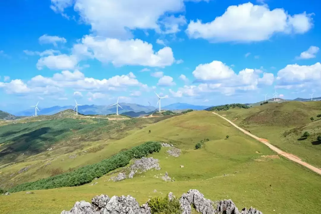 “十四五”高质量发展川滇明珠会东答卷系列报道⑦｜产业升级强根基 绿色转型启新程插图3