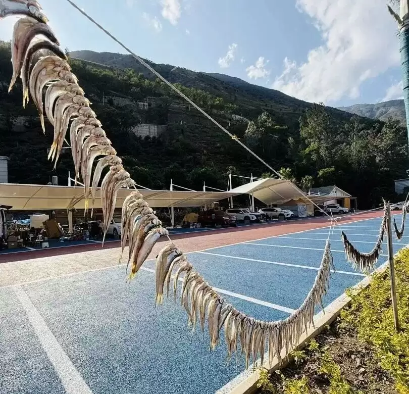 2025 会东 “双黑” 美食节来袭，云闪付消费券疯狂撒钱，大崇溜姑到底有多好玩？插图9