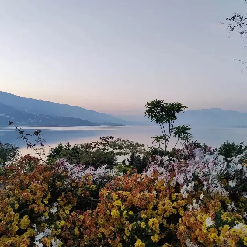 2025 会东 “双黑” 美食节来袭，云闪付消费券疯狂撒钱，大崇溜姑到底有多好玩？插图7