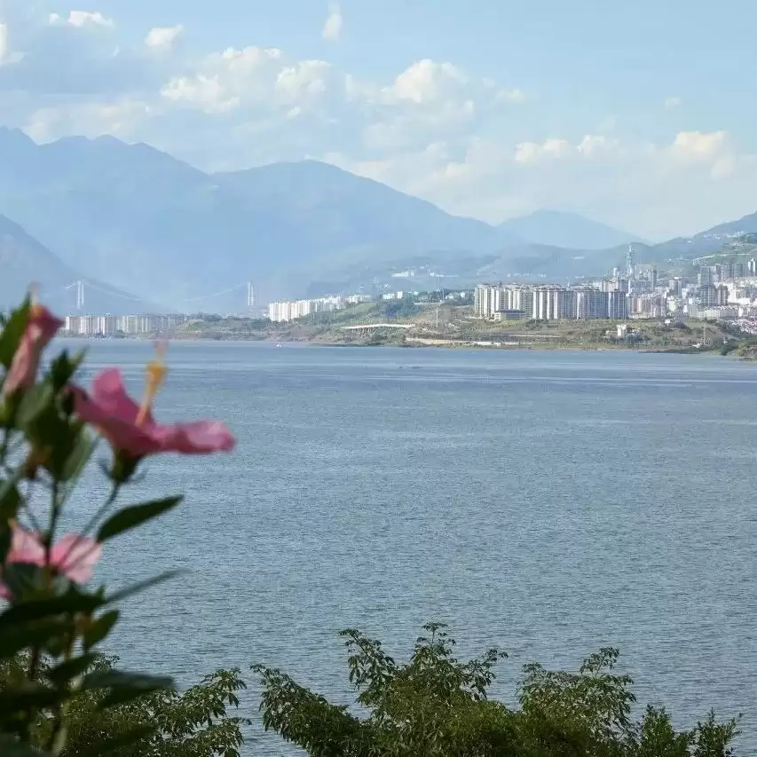 2025 会东 “双黑” 美食节来袭，云闪付消费券疯狂撒钱，大崇溜姑到底有多好玩？插图10