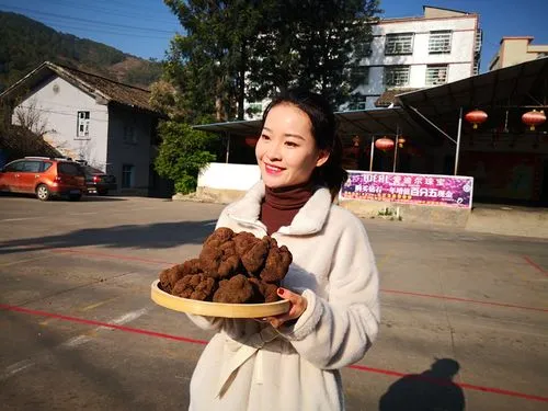 四川会东竟藏 “菌中之王” 松露！产地优势、采摘与未来普及有何门道？-会东网