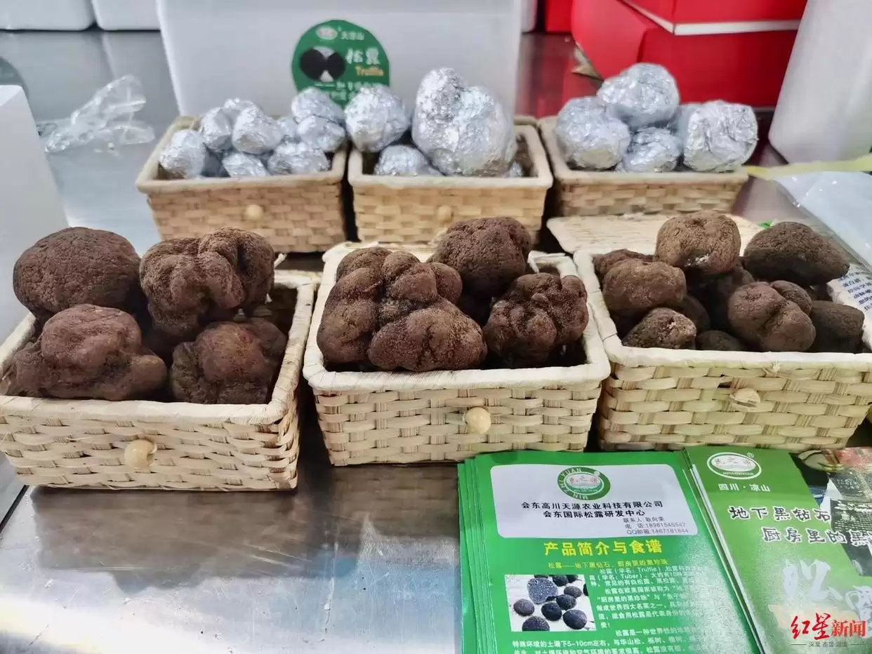 松露从 “无名之菌” 到高端食材，价格暴涨后却面临产量品质下滑，川滇如何破局？插图6