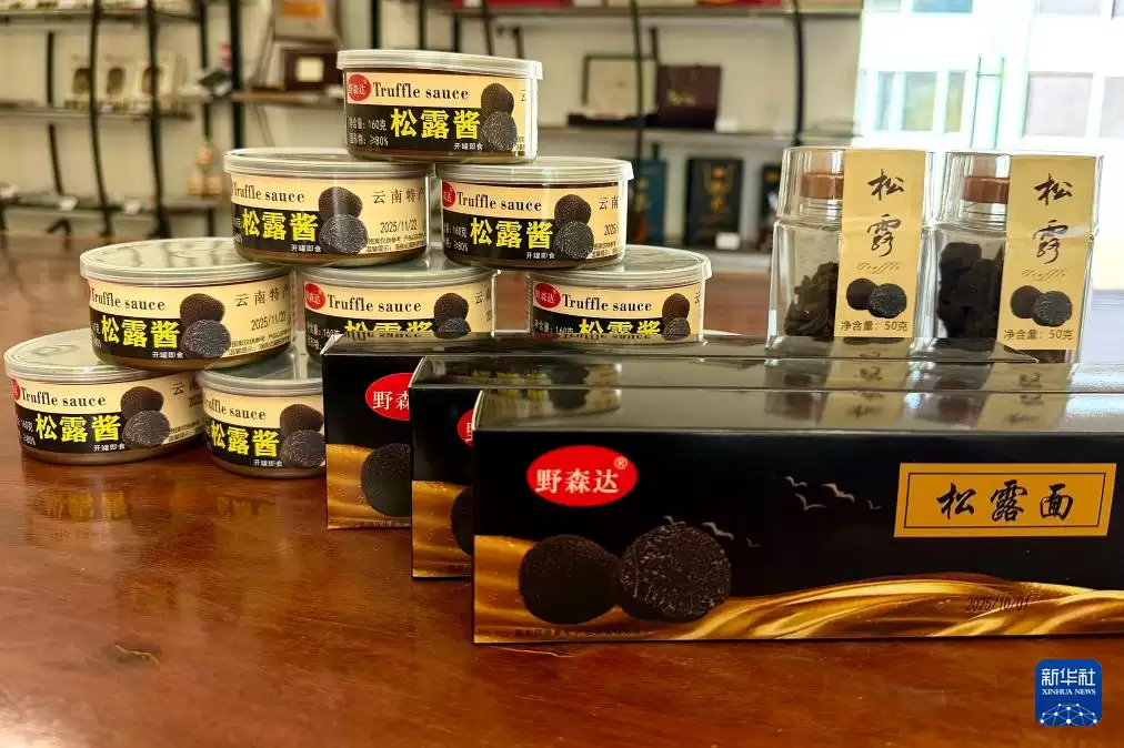 云南松露如何从 “外国货” 变身中国新 “土特产”？其产业发展有哪些秘诀？-会东网