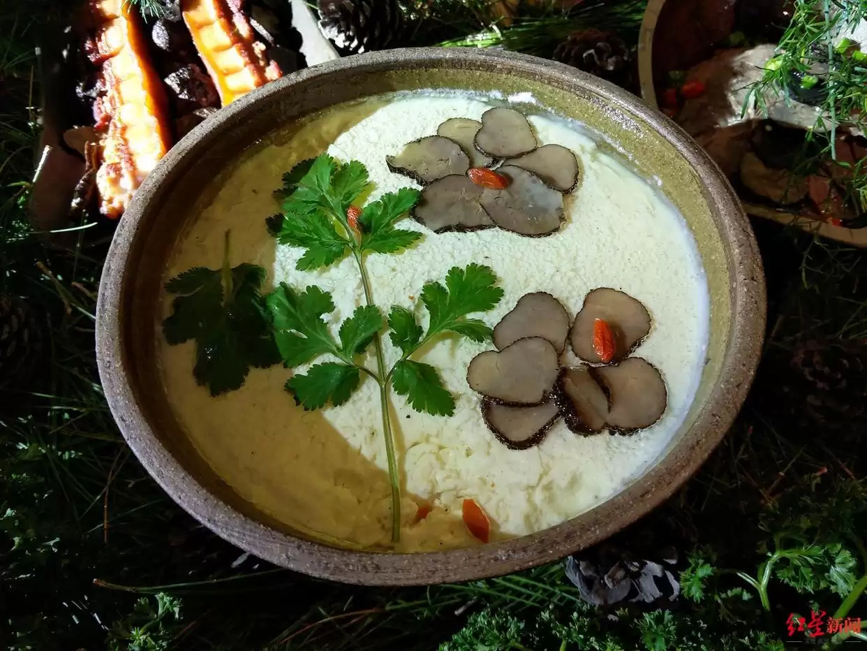 松露从 “无名之菌” 到高端食材，价格暴涨后却面临产量品质下滑，川滇如何破局？插图3