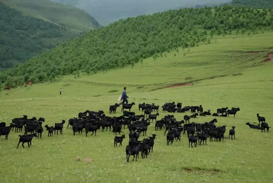 会东如何实现川滇明珠的新跨越?“十四五” 期间在经济、生态、民生方面有哪些成果?插图2 会东如何实现川滇明珠的新跨越?“十四五” 期间在经济、生态、民生方面有哪些成果?插图2