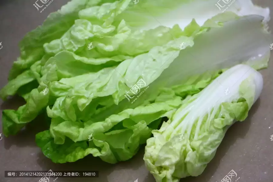 一文读懂白菜种植：从选种到收获的实用指南-会东网