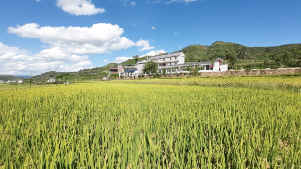 会理 “清洁村庄” 行动，描绘乡村振兴绚丽新图景-会东网